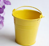 Colored Tin Favor - Merrygo